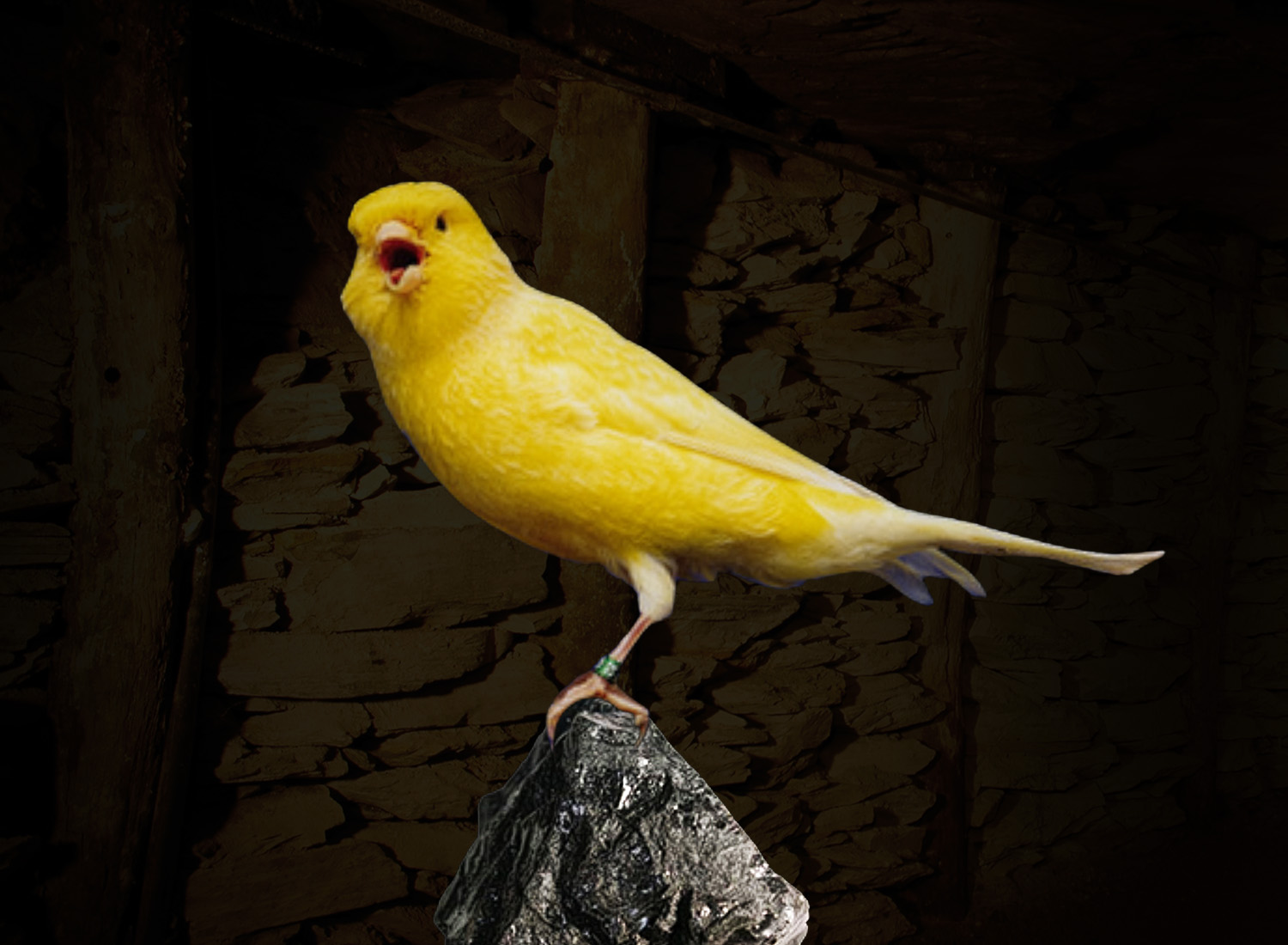 Family events in Pittsburgh — Tour-Ed Mine canary story